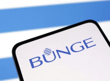 Bunge e Viterra união estratégica de US$ 8 bilhões potencializa oportunidades no mercado global de alimentos.