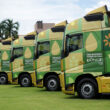 Bunge e Martelli Transportes iniciam projeto para reduzir emissões utilizando biodiesel B100 em caminhões