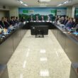 Capacitação de servidores prepara o Brasil para destacar sua força no agro em cenários internacionais.