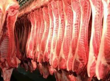 carcaca suina especial em alta preco sobe 084 em sao