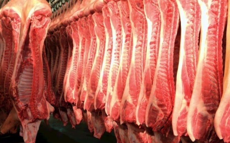 carcaca suina especial em alta preco sobe 084 em sao