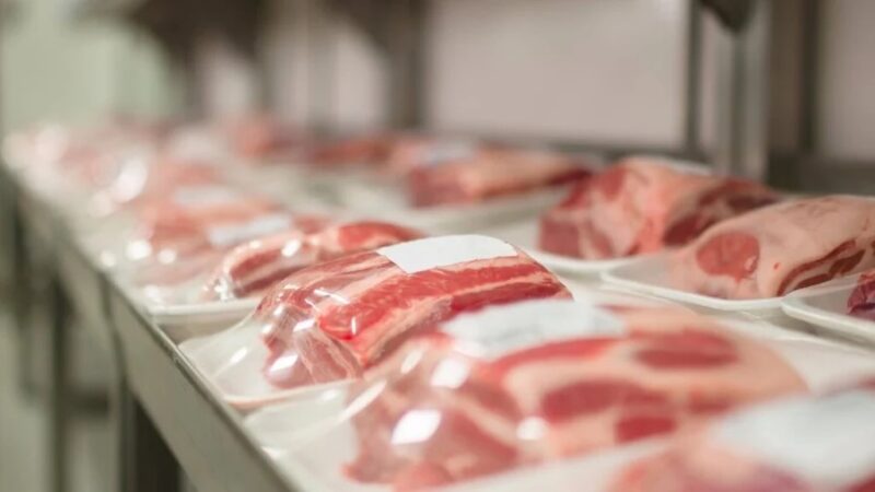 Carne suína: a escolha saudável e nutritiva que transforma sua alimentação em 2025.