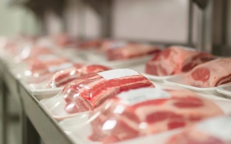 Carne suína: a escolha saudável e nutritiva que transforma sua alimentação em 2025.
