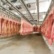 carne suina a prova de inflacao descubra como a alta