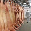 carne suina brasileira conquista mercado global e impulsiona crescimento economico