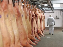 carne suina brasileira conquista mercado global e impulsiona crescimento economico