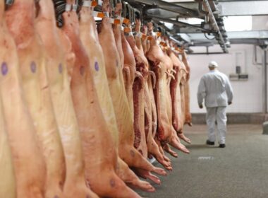 carne suina brasileira conquista mercado global e impulsiona crescimento economico