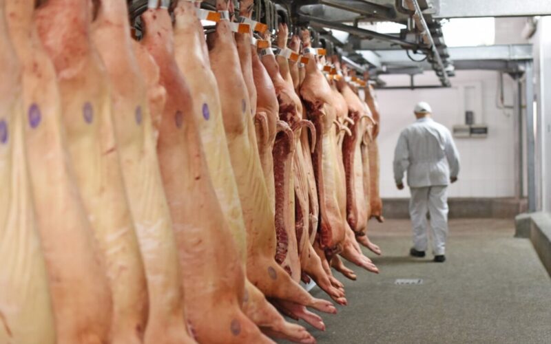 carne suina brasileira conquista mercado global e impulsiona crescimento economico