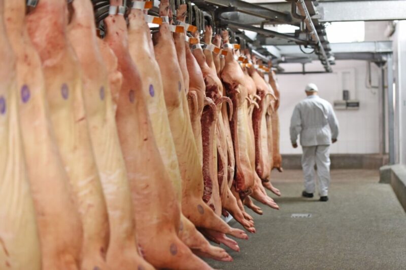 carne suina brasileira conquista mercado global e impulsiona crescimento economico