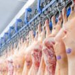 carne suina mais barata traz beneficios competitivos e valor para