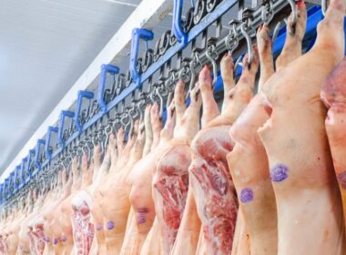 carne suina mais barata traz beneficios competitivos e valor para