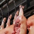 carnes suinas em alta aproveite a valorizacao e descubra como