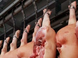 Carnes suínas em alta: aproveite a valorização e descubra como essa tendência pode impactar o mercado e seus hábitos de consumo 10 carnes suinas em alta aproveite a valorizacao e descubra como