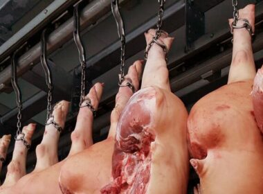 carnes suinas em alta aproveite a valorizacao e descubra como