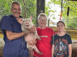 Castrolanda amplia estratégia na suinocultura, prometendo eficiência e lucratividade para os produtores rurais