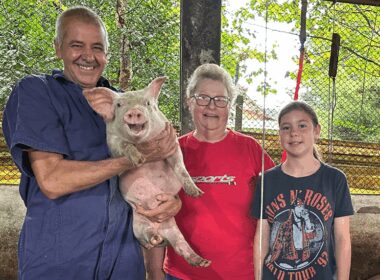 Castrolanda amplia estratégia na suinocultura, prometendo eficiência e lucratividade para os produtores rurais