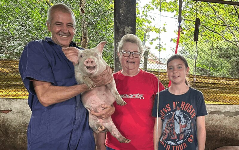 Castrolanda amplia estratégia na suinocultura, prometendo eficiência e lucratividade para os produtores rurais