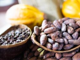 Cenário desafiador no mercado de cacau: como a queda na oferta pode impactar seu chocolate favorito 22 cenario desafiador no mercado de cacau como a queda na