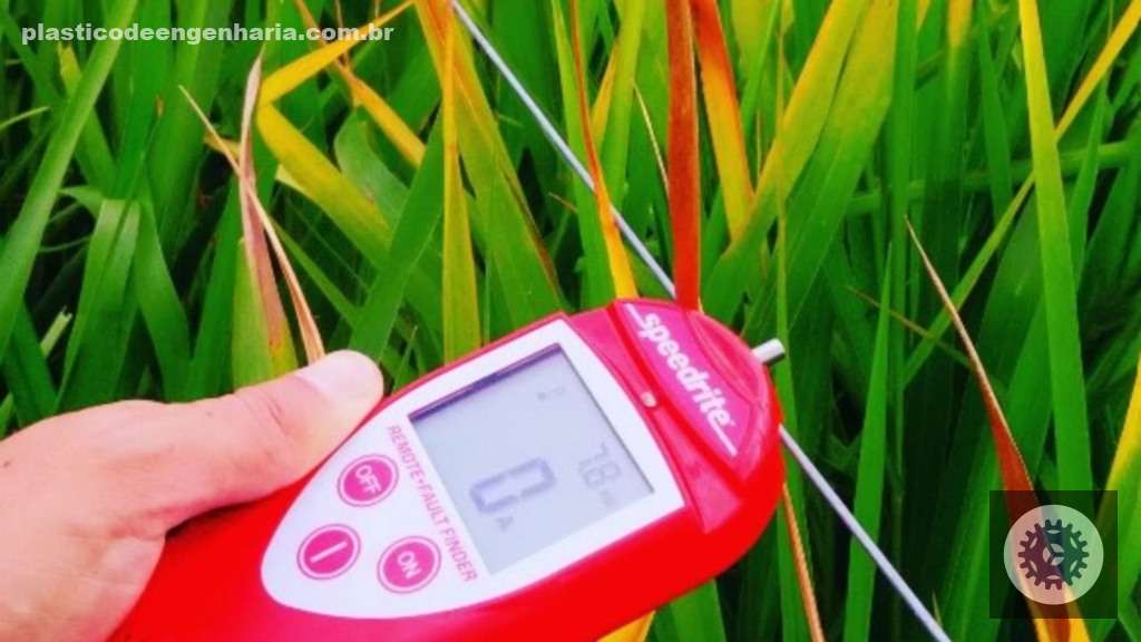 Cerca elétrica otimiza a administração dos pastos, garantindo mais eficiência e rendimento na pecuária 3 cerca eletrica 04.04.2025 2