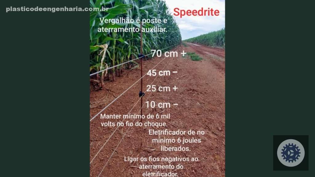 cerca eletrica animais selvagens 02.05.2025 3