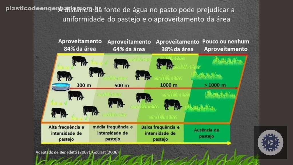 Cerca elétrica ideal: aprenda a calcular piquetes e distâncias para manter seu gado seguro e saudável 4 cerca eletrica ernesto coser 09.05.2025