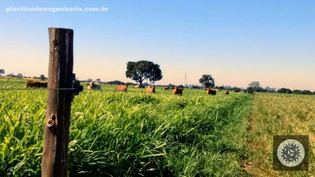 Cerca elétrica: entenda como o seu choque funciona
