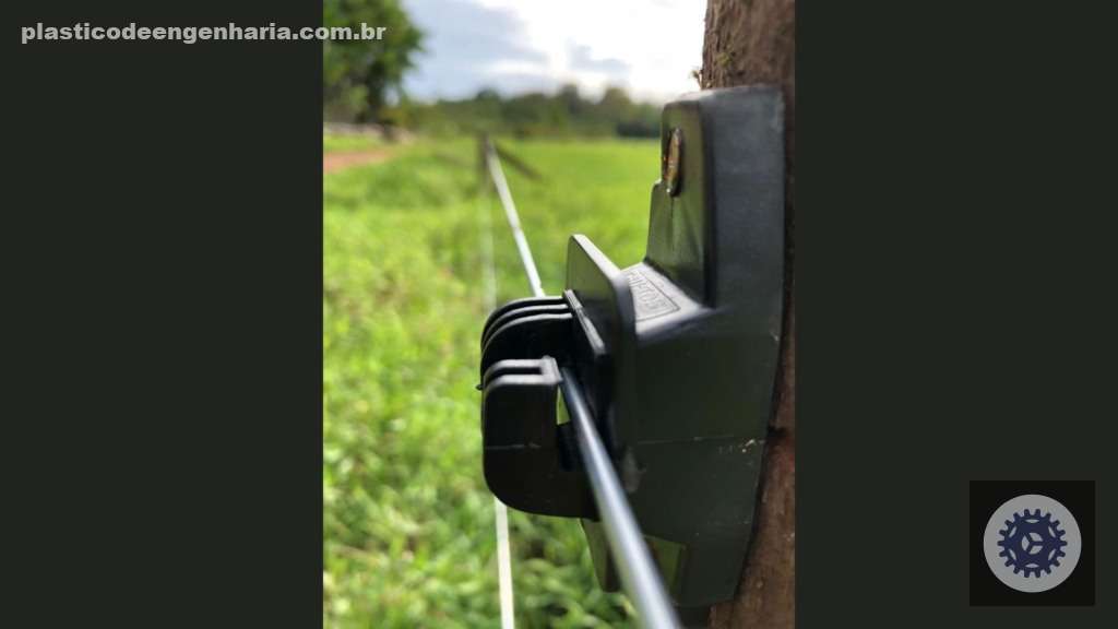 Cerca elétrica potencializa a ILP e protege lavouras, garantindo sustentabilidade e segurança nas propriedades 3 cerca eletrica ernesto coser 25.04.2025 2
