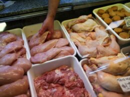 china abre as portas para aves argentinas impactos da nova