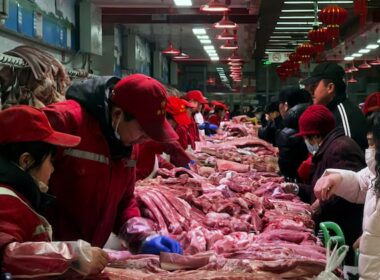 China adia importação de carne suína da UE, impactando mercado e oportunidades para produtores brasileiros.