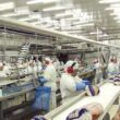 china reduz compras e exportacao brasileira de frango cai no