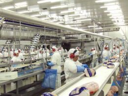 china reduz compras e exportacao brasileira de frango cai no