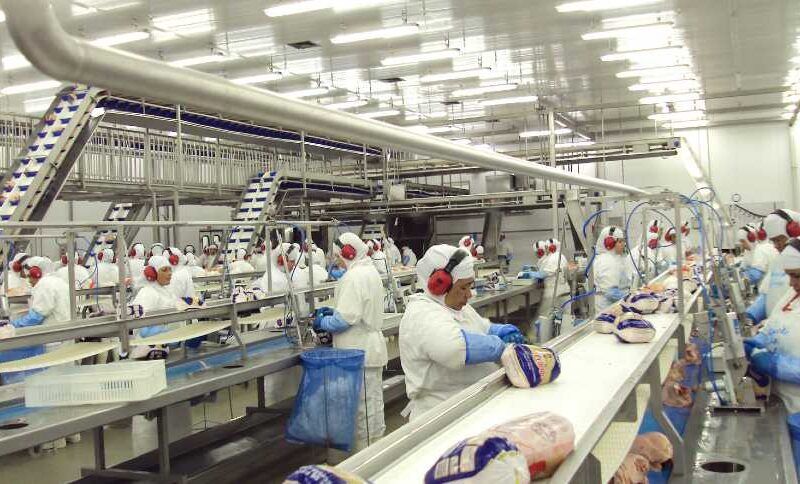 china reduz compras e exportacao brasileira de frango cai no