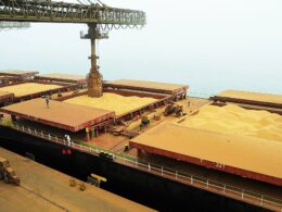 Chineses impulsionam mercado com megacompra de soja brasileira em meio a tensões comerciais com os EUA 19 chineses impulsionam mercado com megacompra de soja brasileira em meio