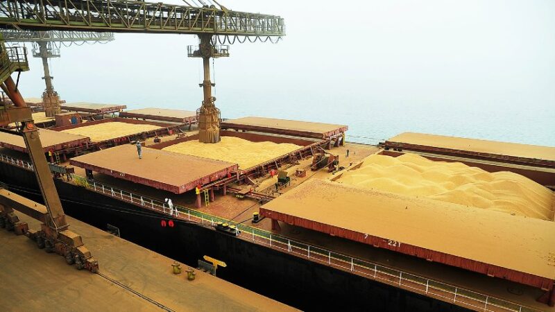 chineses impulsionam mercado com megacompra de soja brasileira em meio