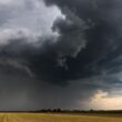 Chuva abundante melhora pastagens e garante pistas verdes até a segunda quinzena de abril