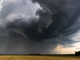 Chuva abundante melhora pastagens e garante pistas verdes até a segunda quinzena de abril 16 Chuva abundante melhora pastagens e garante pistas verdes até a segunda quinzena de abril