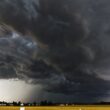 Chuva de até 100 mm promete revitalizar a pecuária e impulsionar a produção em grandes polos do setor