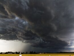 Chuva de até 100 mm promete revitalizar a pecuária e impulsionar a produção em grandes polos do setor 13 Chuva de até 100 mm promete revitalizar a pecuária e impulsionar a produção em grandes polos do setor
