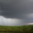 Chuva de até 60 mm no fim de abril garante pasto verde e animador para a produção rural