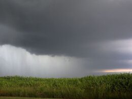 Chuva de até 60 mm no fim de abril garante pasto verde e animador para a produção rural