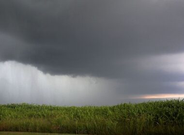 Chuva de até 60 mm no fim de abril garante pasto verde e animador para a produção rural