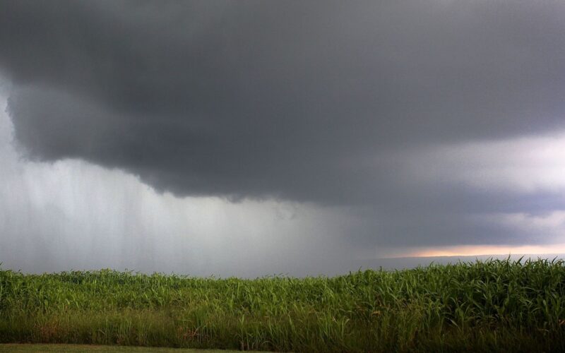Chuva de até 60 mm no fim de abril garante pasto verde e animador para a produção rural