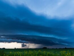 Chuva de mais de 200 mm promete revitalizar pastagens e garantir melhor produção agrícola 12 Chuva de mais de 200 mm promete revitalizar pastagens e garantir melhor produção agrícola