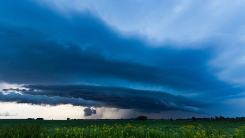 Chuva de mais de 200 mm promete revitalizar pastagens e garantir melhor produção agrícola