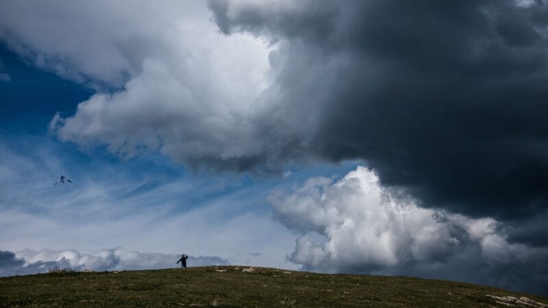 Chuva intensa garante pastagens revitalizadas e pasto abundante. Descubra a previsão e cuide da sua produção.