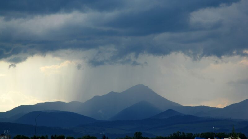 Chuva no Norte impulsiona a pecuária em Rondônia com benefícios para produtores e propriedades rurais