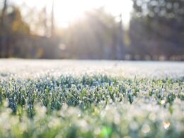 Chuva no Sul: prepare-se para o fim de semana com dicas práticas e previsão detalhada da nova frente fria 26 Chuva no Sul: prepare-se para o fim de semana com dicas práticas e previsão detalhada da nova frente fria