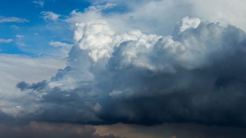 Chuva revitaliza pastagens em MT, Rondônia e Pará, enquanto centro-sul enfrenta desafios de seca