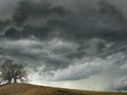 Chuvas acima de 50 mm promovem condições ideais para fortalecer a pecuária no Norte do Brasil