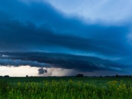 Chuvas intensas no Sul do País trazem riscos e oportunidades; descubra como se preparar para os próximos dias 36 Chuvas intensas no Sul do País trazem riscos e oportunidades; descubra como se preparar para os próximos dias